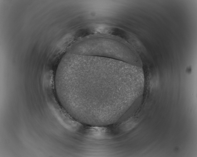 X0000115550328200911271439