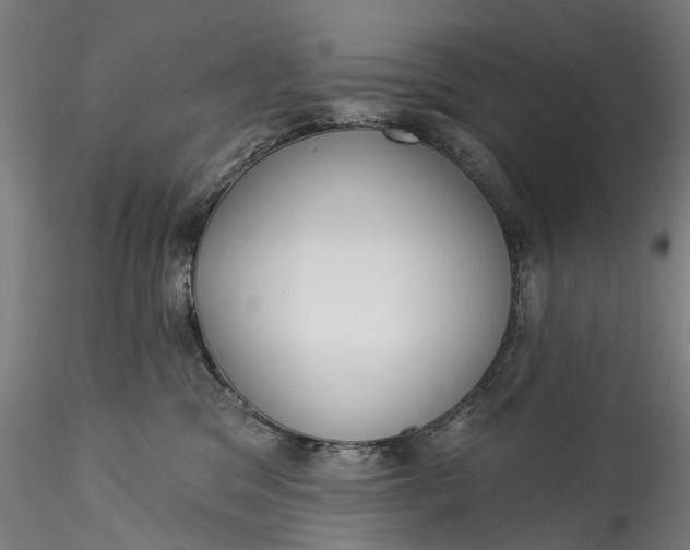 X0000115550329200911271439