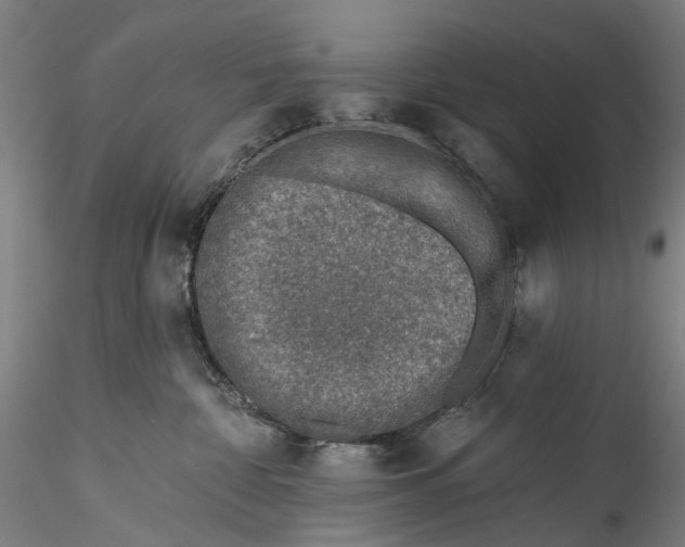 X0000115550332200911271439