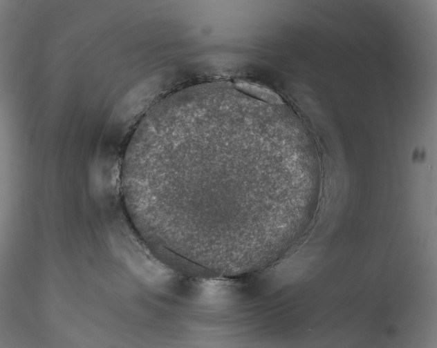 X0000115550336200911271439