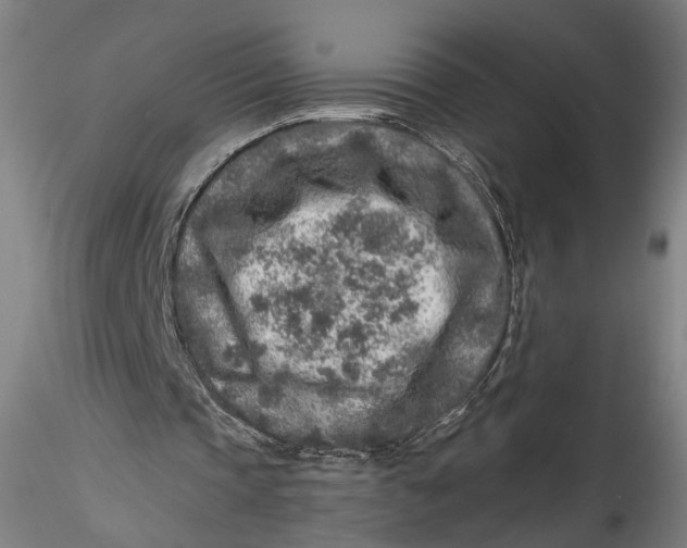 X0000115550337200911271438