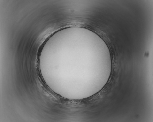 X0000115550338200911271438