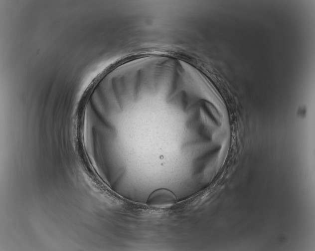 X0000115550342200911271438