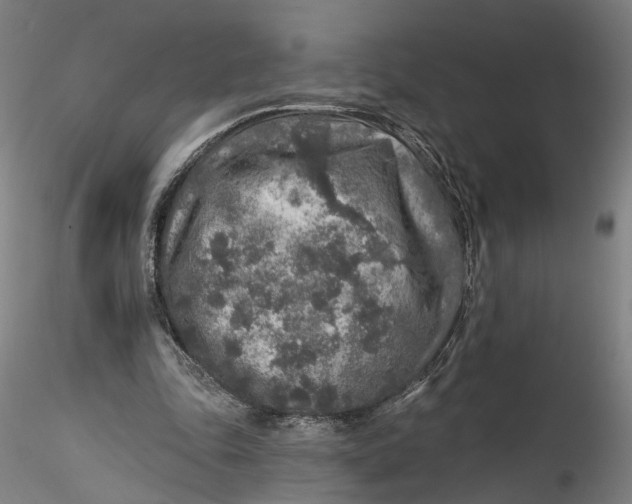 X0000115550343200911271438