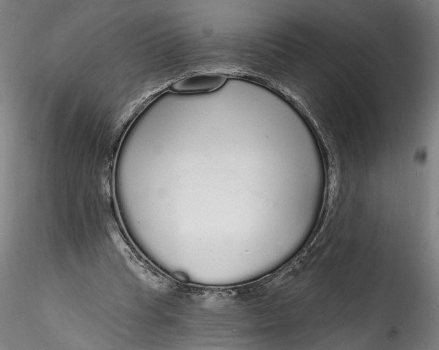 X0000115550345200911271438