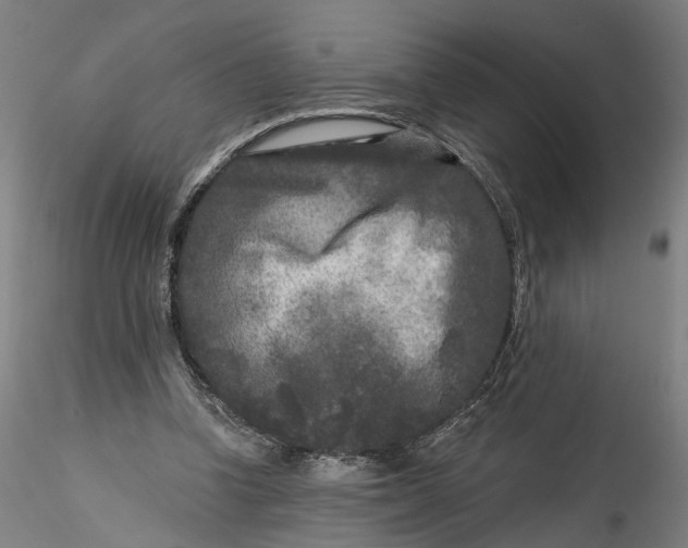 X0000115550346200911271439