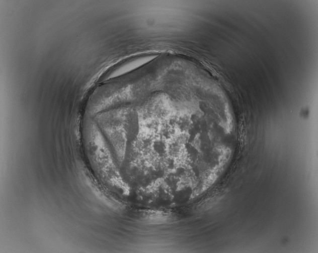 X0000115550347200911271439