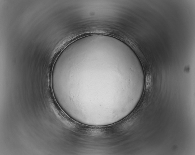 X0000115550349200911271439