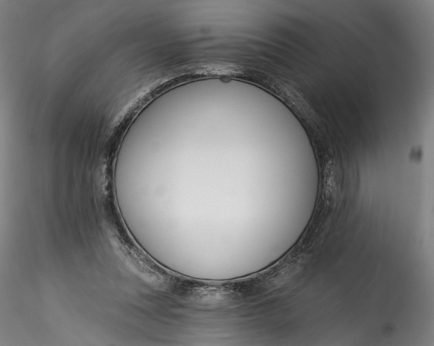 X0000115550351200911271439