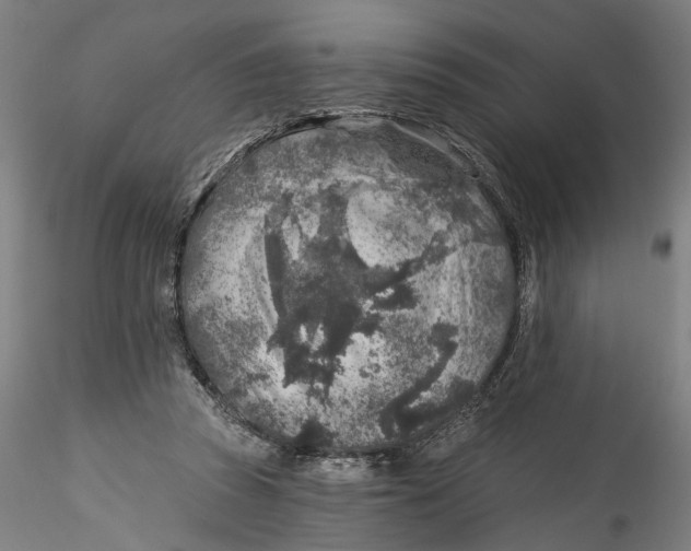 X0000115550353200911271439