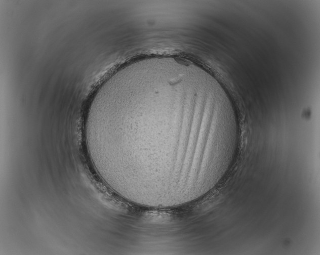 X0000115550354200911271439