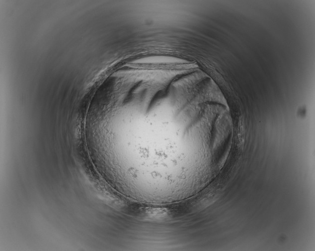 X0000115550355200911271439