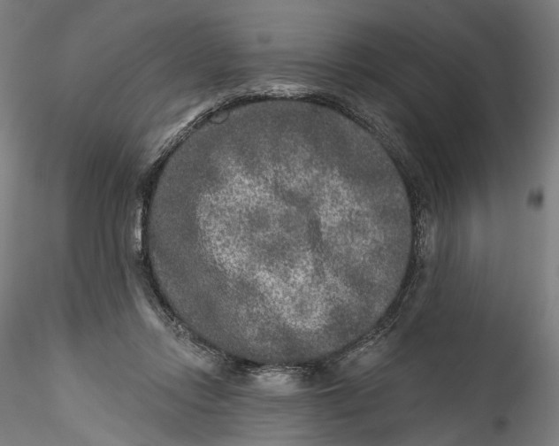 X0000115550358200911271439