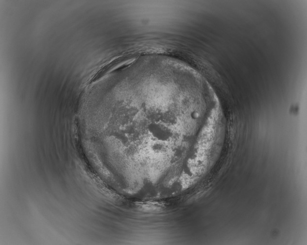 X0000115550359200911271439