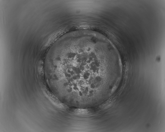 X0000115550361200911271439