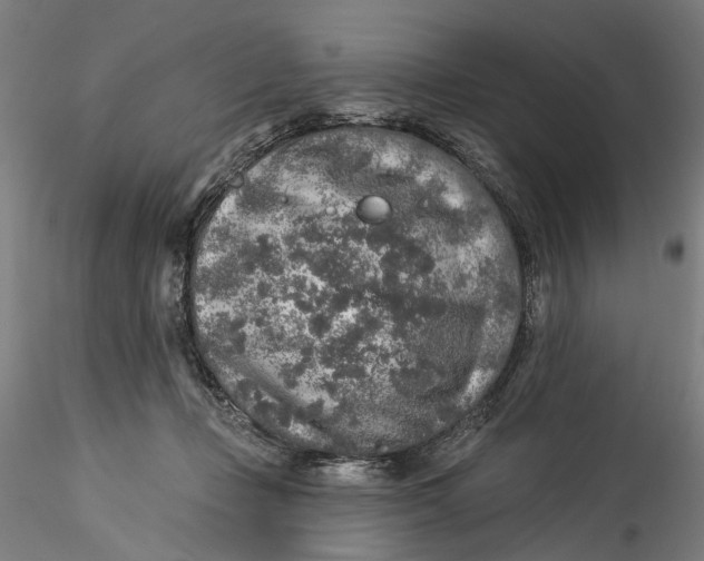 X0000115550365200911271439