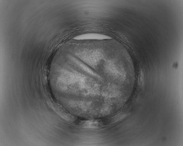 X0000115550366200911271439