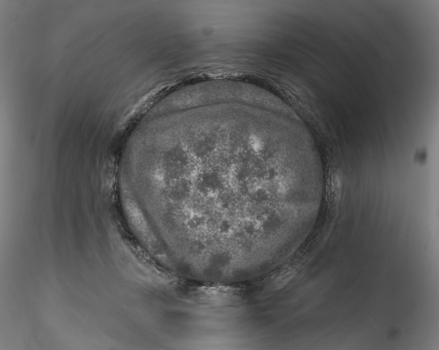 X0000115550367200911271439