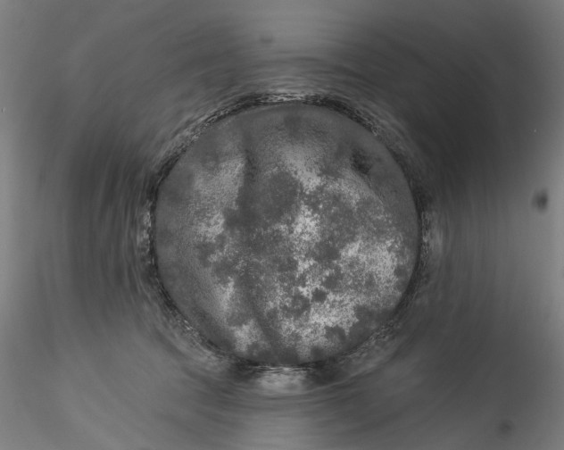 X0000115550369200911271439