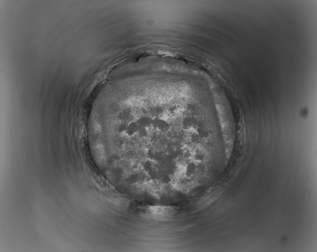 X0000115550371200911271439