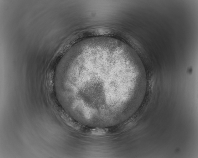 X0000115550373200911271439