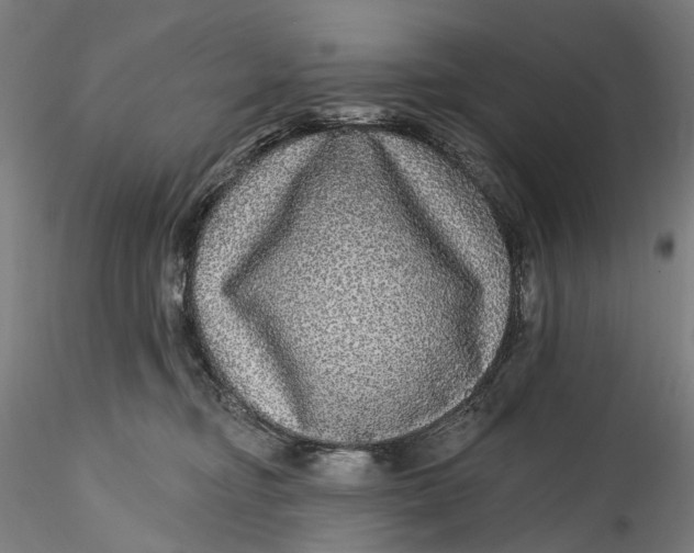 X0000115550374200911271439