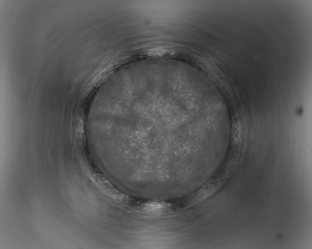 X0000115550375200911271439