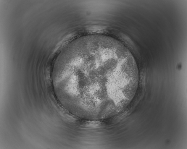 X0000115550377200911271439