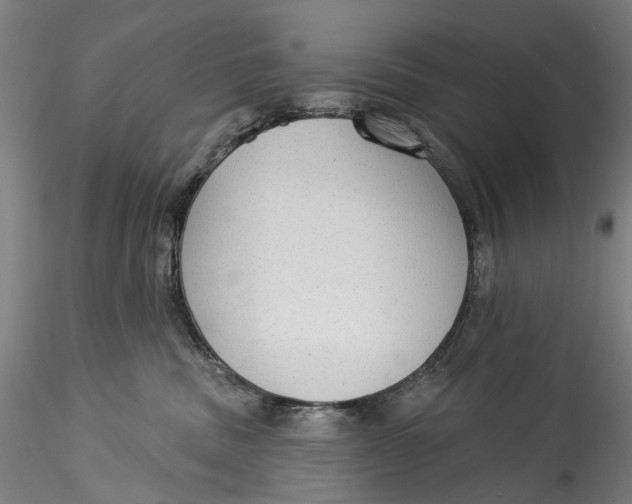 X0000115550379200911271439