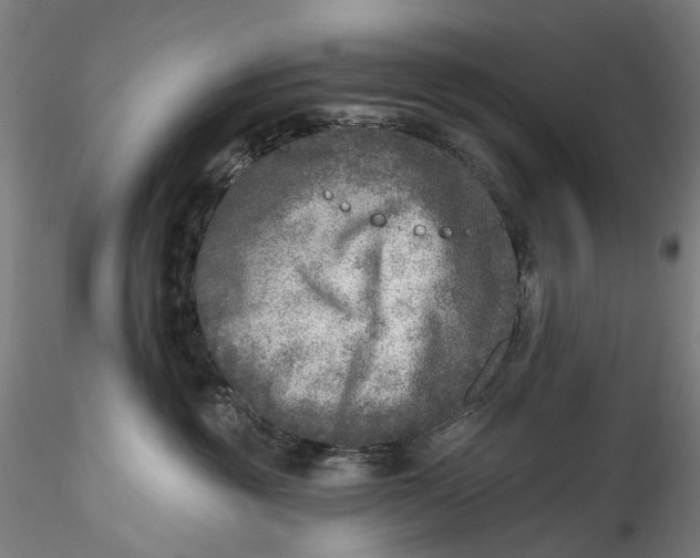 X0000115550381200911271439