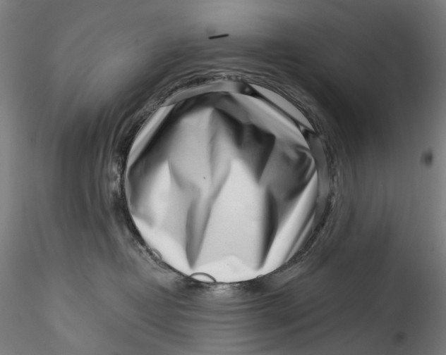 X0000115550382200911271439