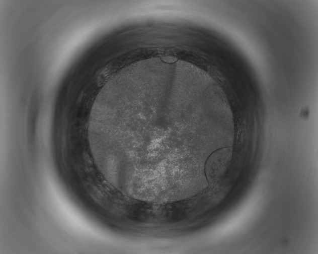 X0000115550383200911271439