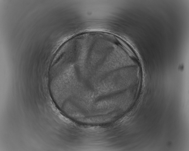 X0000115550385200911271438