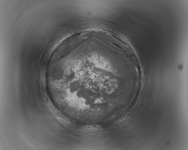 X0000115550386200911271438