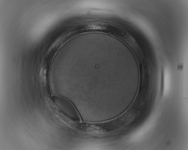 X0000115550387200911271438