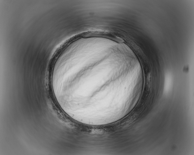 X0000115550388200911271438