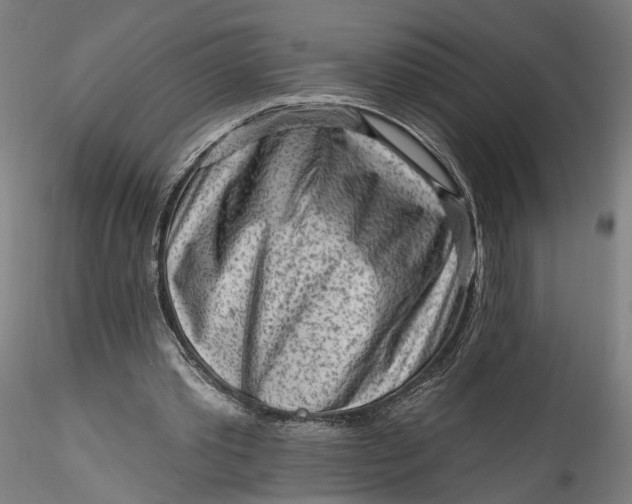 X0000115550389200911271438