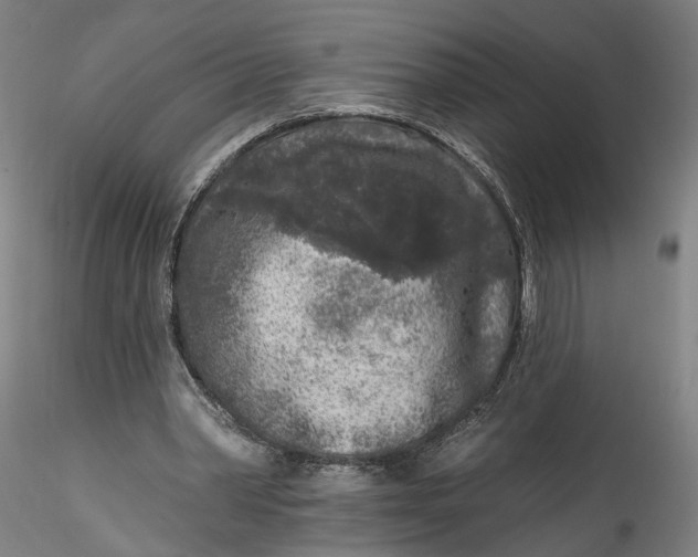 X0000115550390200911271438