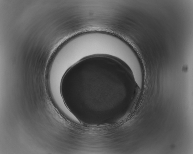 X0000115550391200911271438