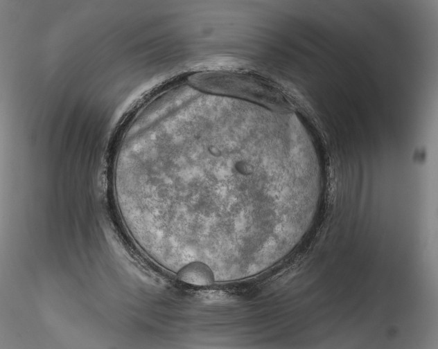 X0000115550392200911271438