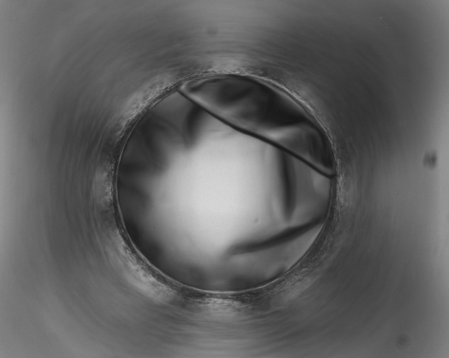 X0000115550393200911271438