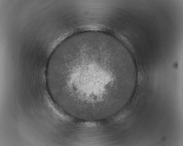 X0000115550394200911271438