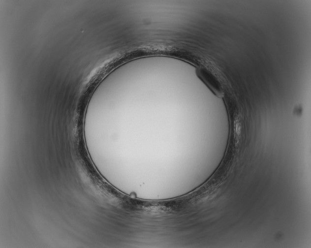 X0000115550396200911271438