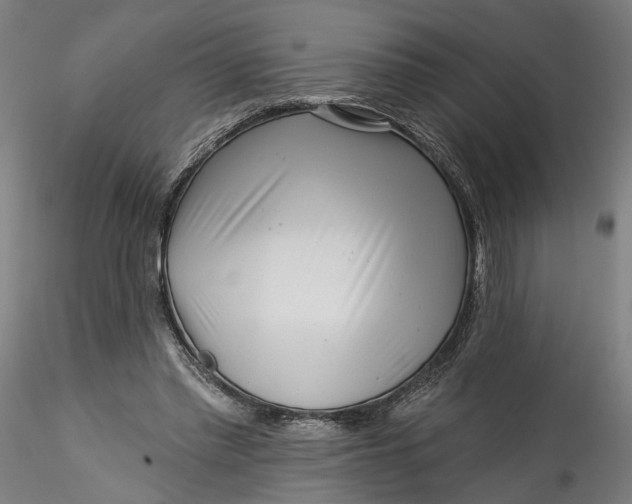 X0000115550397200911271438