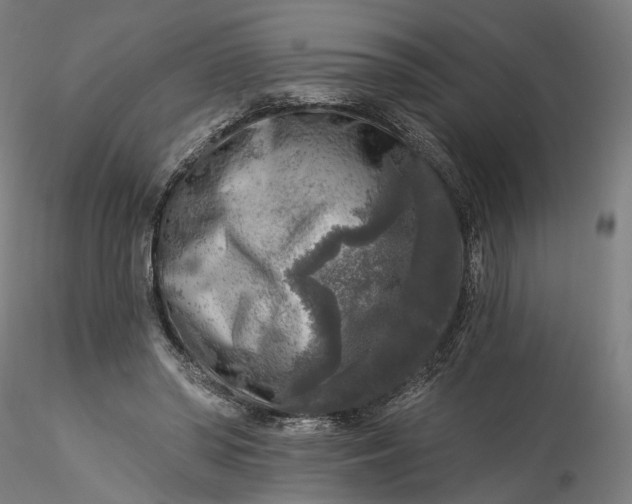 X0000115550398200911271438