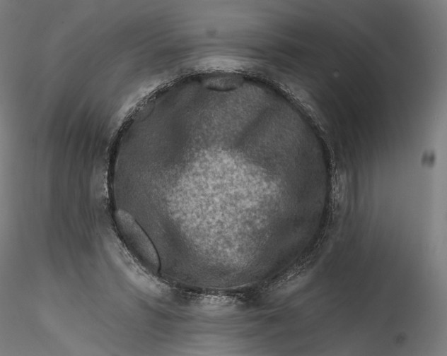 X0000115550399200911271438