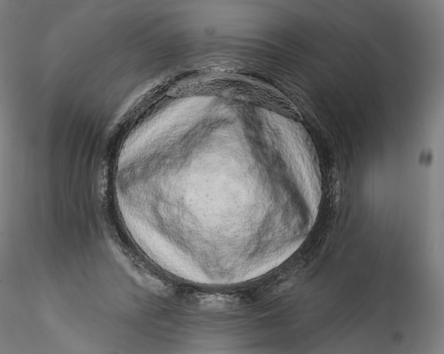 X0000115550400200911271438