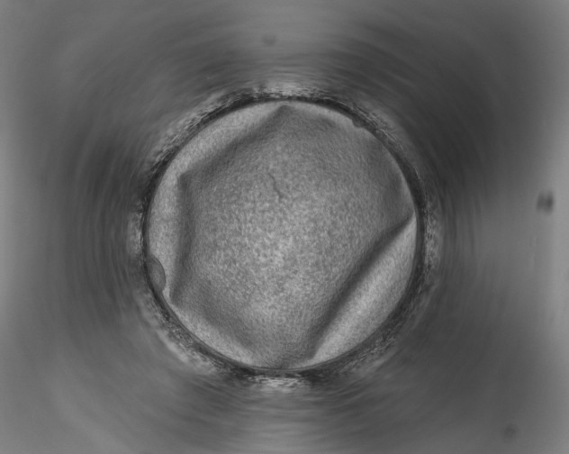 X0000115550401200911271438