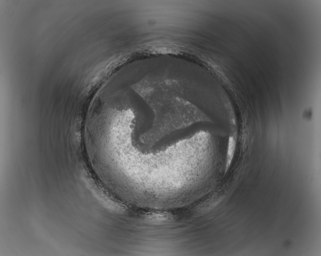 X0000115550402200911271438