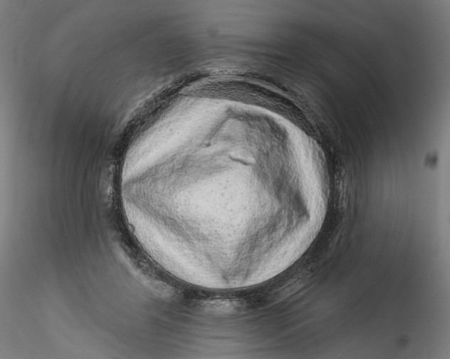 X0000115550404200911271438